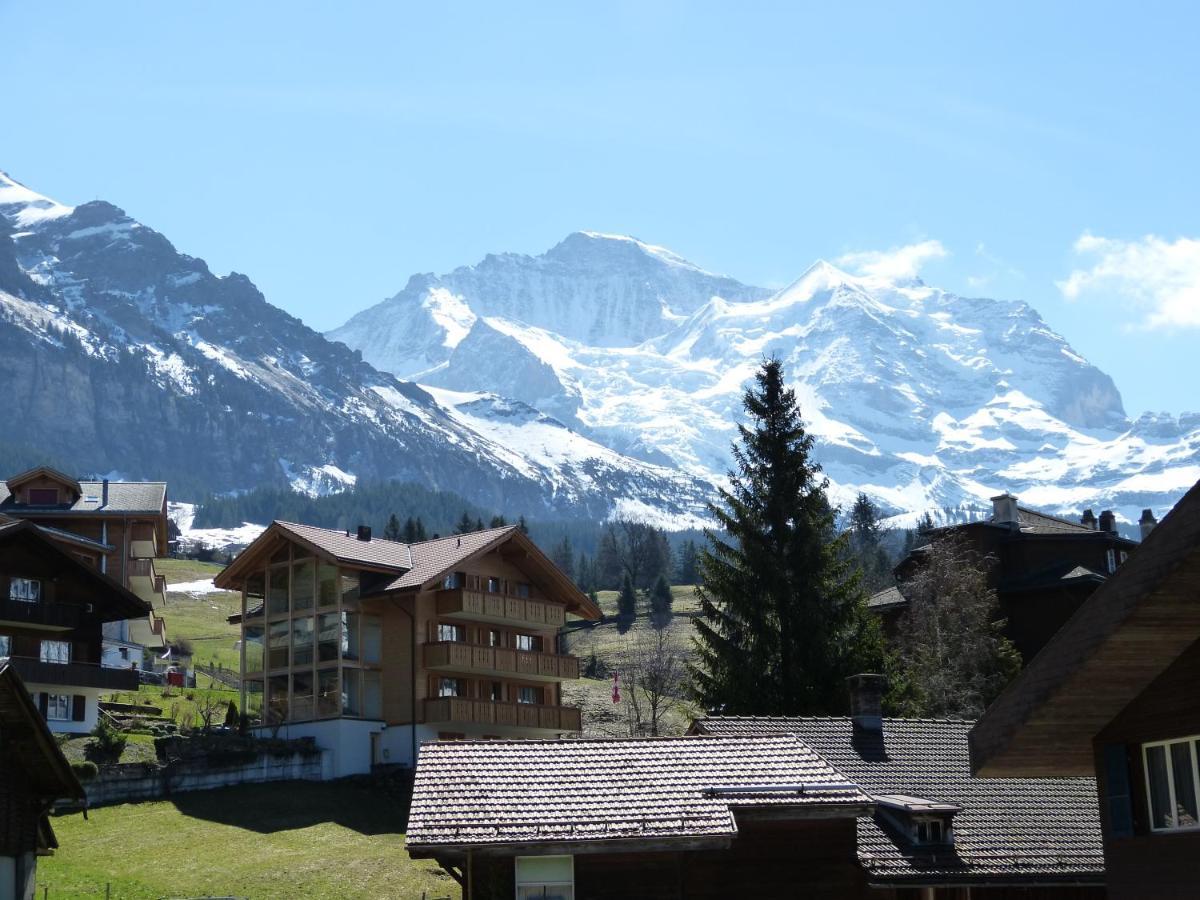 Chalet Bella Vista 4 翁根 外观 照片