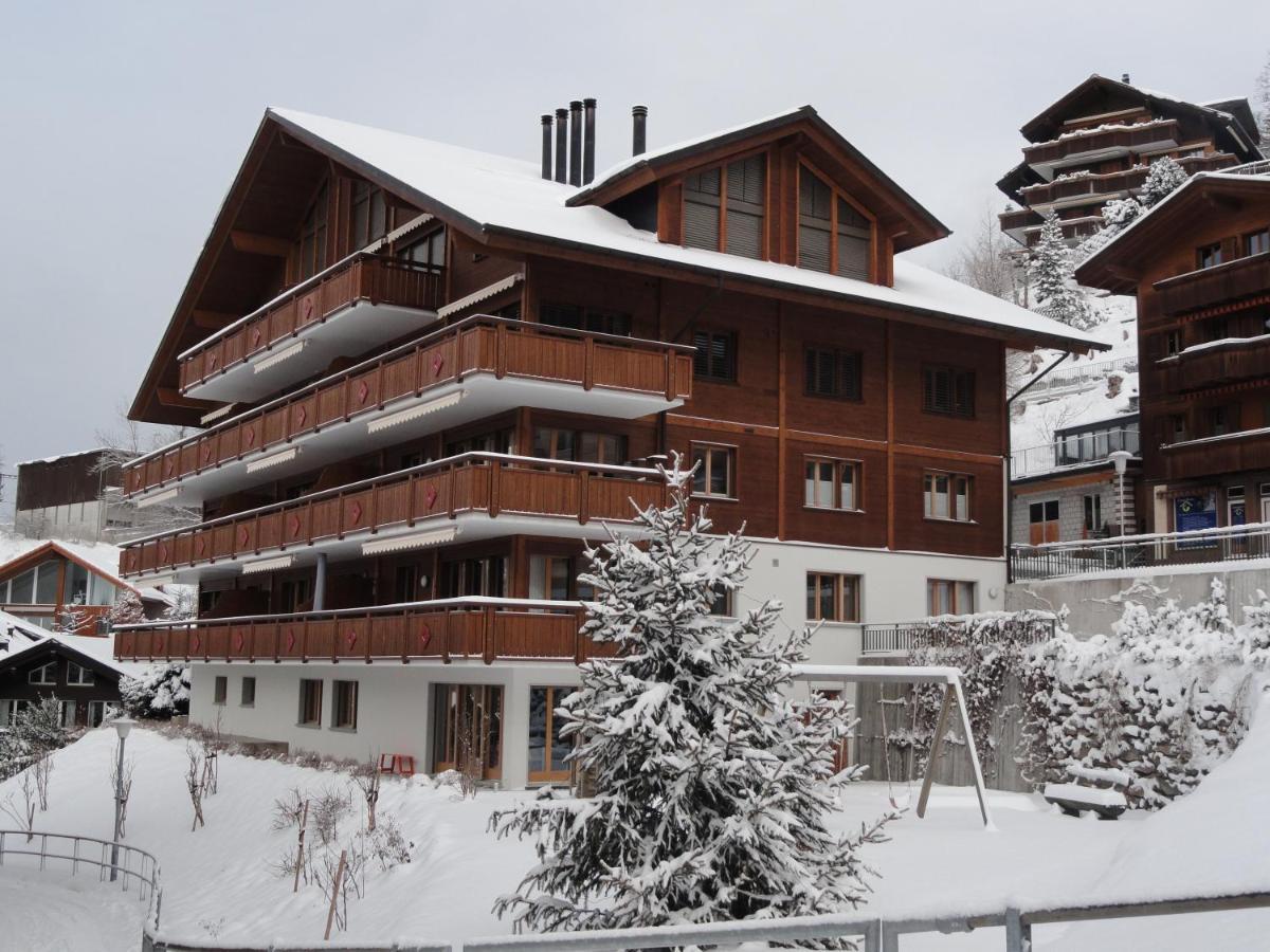 Chalet Bella Vista 4 翁根 外观 照片
